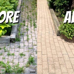 Fast Cleaner (Zenra Rapida)